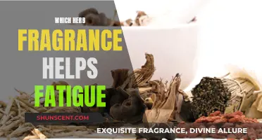 Herbal Aromas to Battle Fatigue and Recharge Your Energy