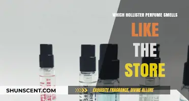 Hollister's Signature Scent: Discover the Store's Iconic Fragrance