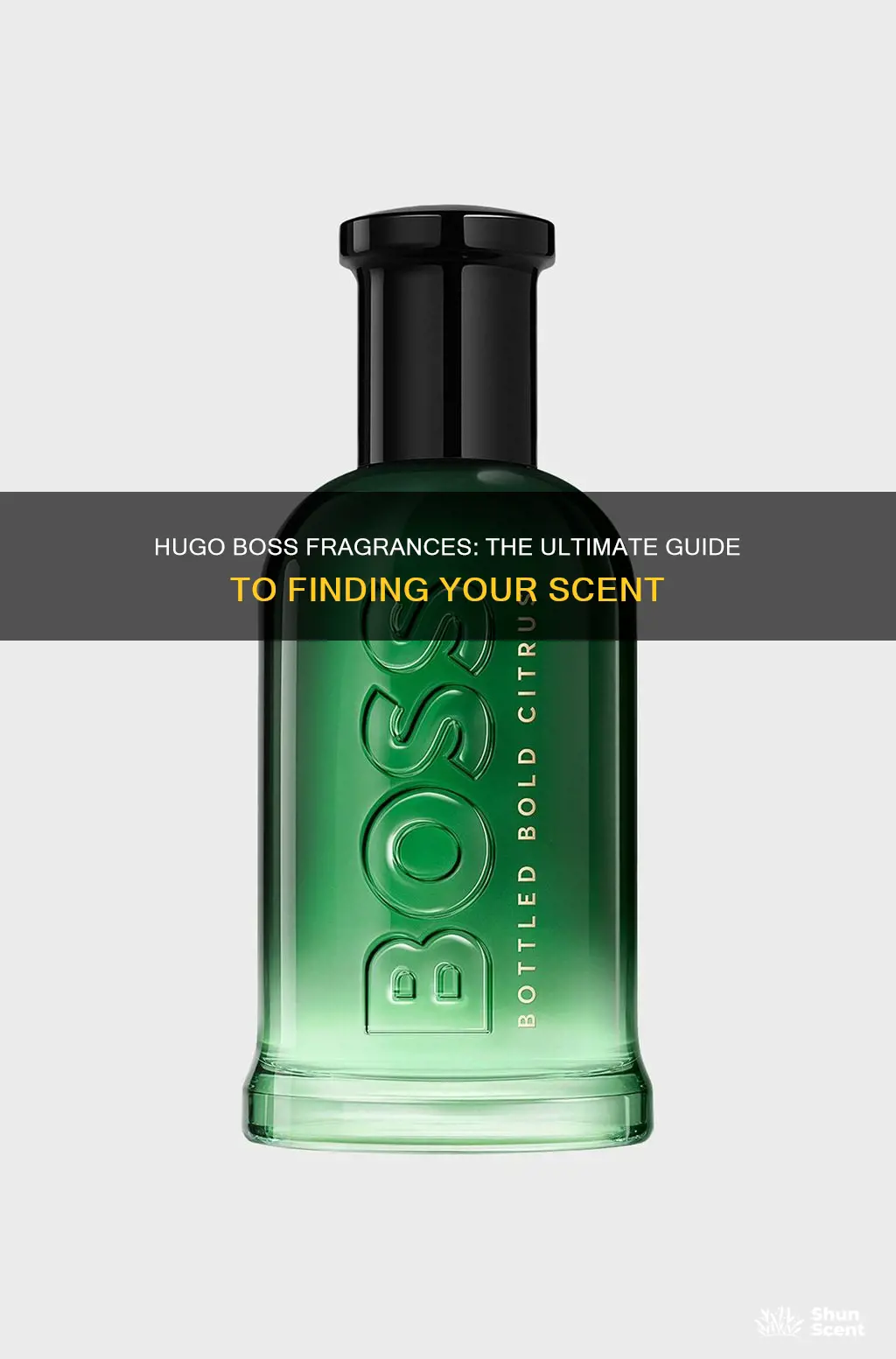 which hugo boss fragrance is the best