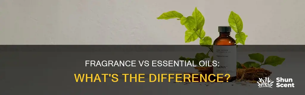 which i better to use fragrance oils or essential oils