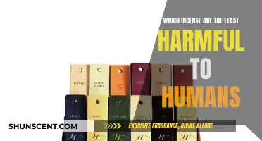 Incense and Human Health: Which Scents are Safest?