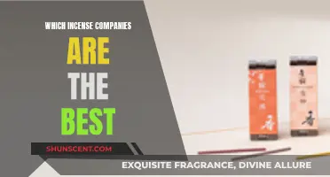 Incense Brands: The Best of the Best