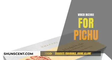 Incense Aromas to Soothe Your Pichu