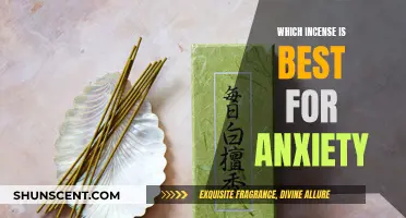 Best Incense Scents to Calm Your Anxiety