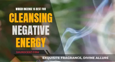 Cleansing Negative Energy: Best Incense Scents for Purification