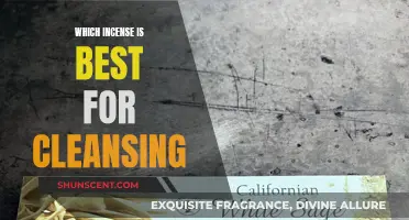 Best Incense for Cleansing: A Spiritual Guide