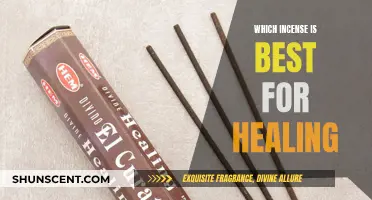 Healing Incense: The Best Scents for Mind and Body