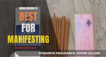 Manifesting with Incense: The Best Scents for Your Practice