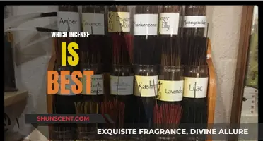 Incense 101: Finding Your Perfect Scent