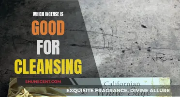 Best Incense for Cleansing Your Space