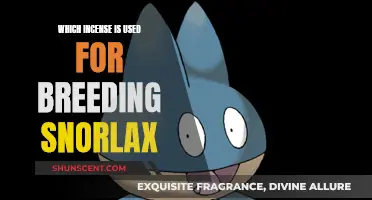 Incense to Catch Snorlax: A Guide to Incense Types