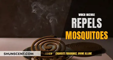 Incense for Mosquito Control: Natural Repellents