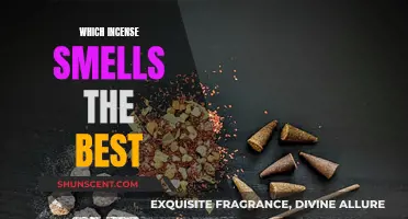 Incense Scents: Which Fragrances Are the Most Appealing?