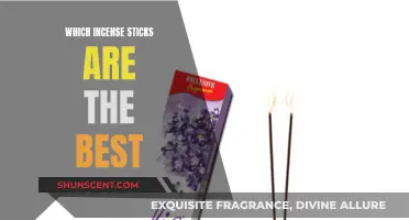 Incense Sticks: Discovering the Finest Scents for Your Space