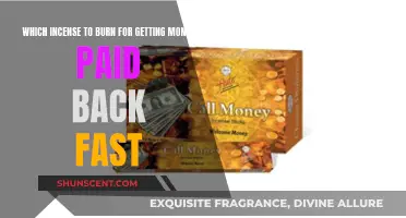Incense Scents to Attract Fast Cash and Payments