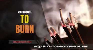 Incense Burning: Choosing the Right Scents for Your Space