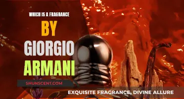 Giorgio Armani's Fragrance: A Sensory Experience
