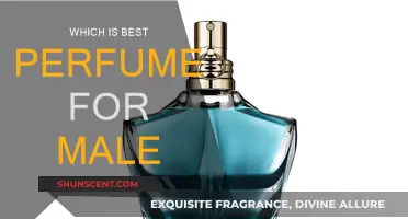 Best Male Fragrances: The Ultimate Guide