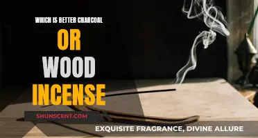 Charcoal vs Wood: Choosing the Right Incense for You