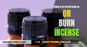 Incense vs. Oil Diffusers: Which Method Is Superior?