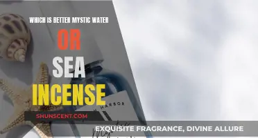 Mystic Water vs Sea Incense: Which Offers Better Relaxation?