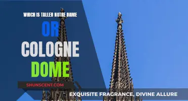 Exploring the Heights: Notre Dame vs Cologne Dome