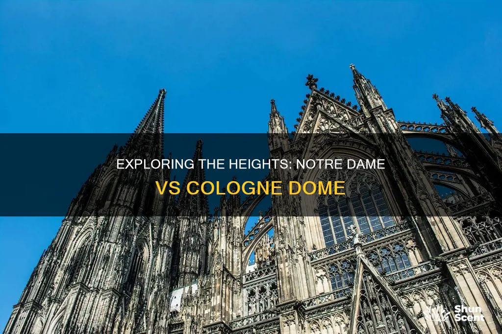 which is taller notre dame or cologne dome