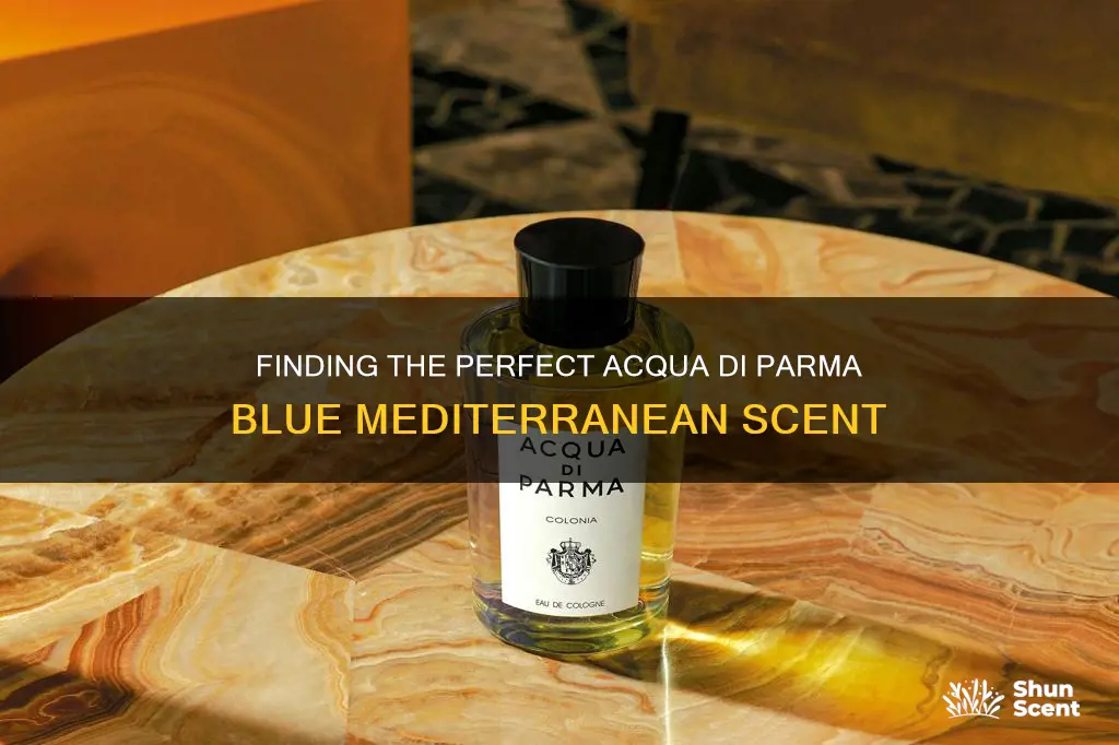 which is the best acqua di parma blue mediterranean cologne