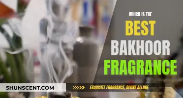 Explore the Finest Bakhoor Fragrances for an Aromatic Experience