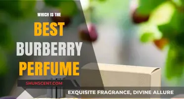 Burberry Perfumes: Discover the Best Scents for You