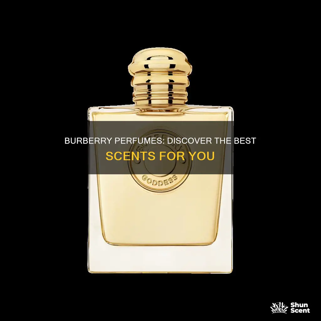 which is the best burberry perfume