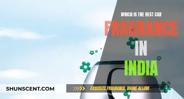 Car Fragrances: India's Top Scents for Your Vehicle