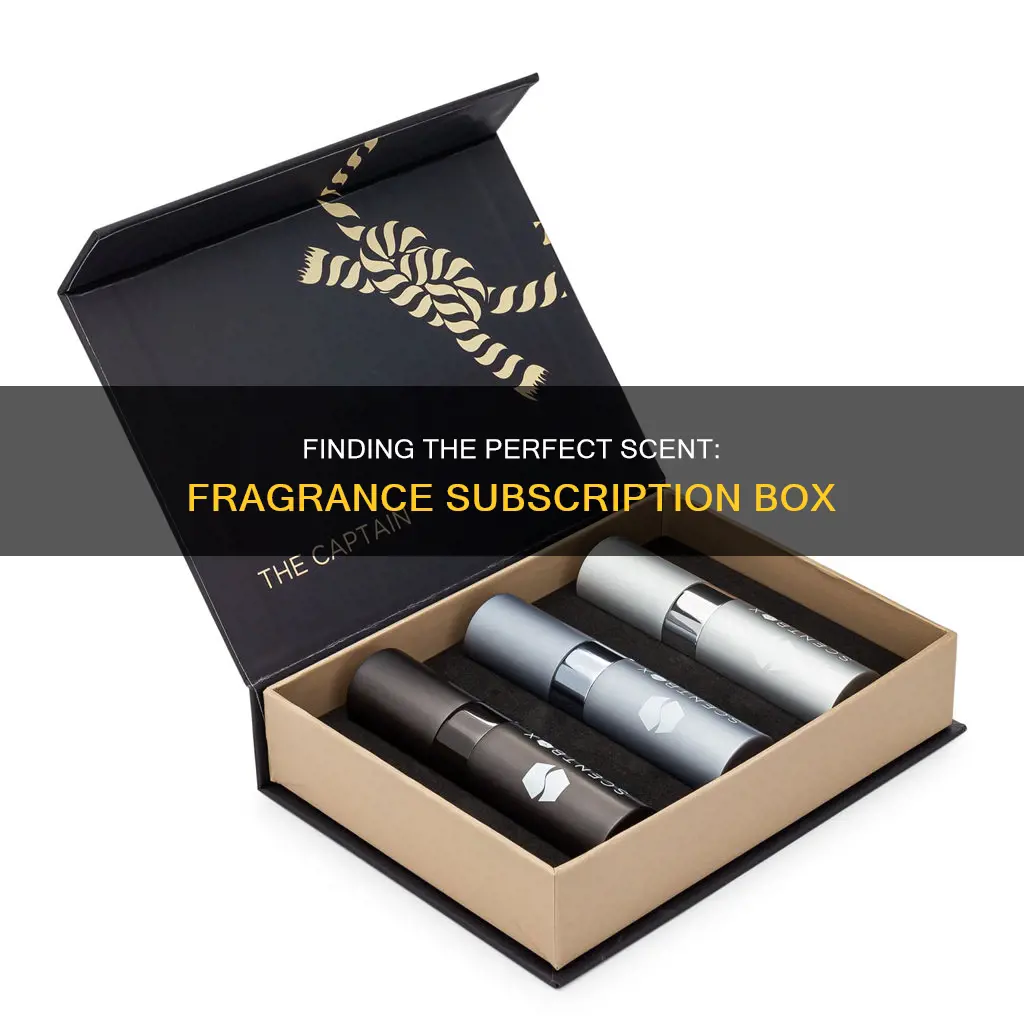 which is the best fragrance cologne subscription