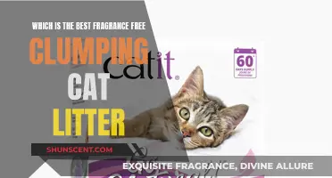 Best Clumping Cat Litters That Are Fragrance-Free