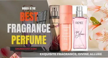 Choosing the Perfect Fragrance: The Best Perfume Scents