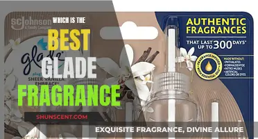 Glade Fragrances: Discover the Best Scents for Your Home