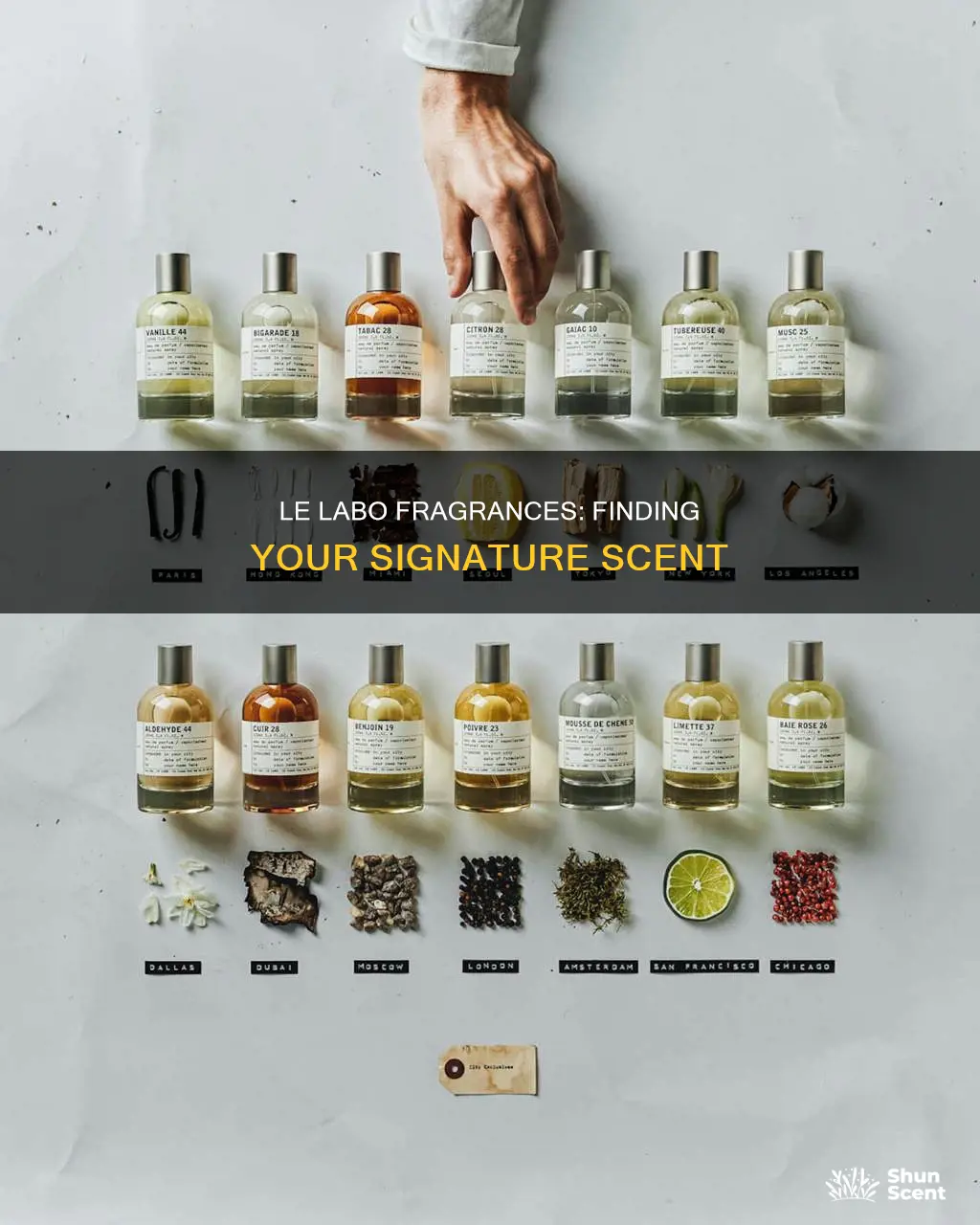 which is the best le labo fragrance