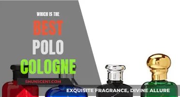 Polo Cologne: Discovering the Best Fragrance for You