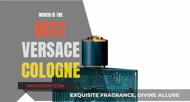 The Ultimate Versace Cologne: Finding Your Signature Scent