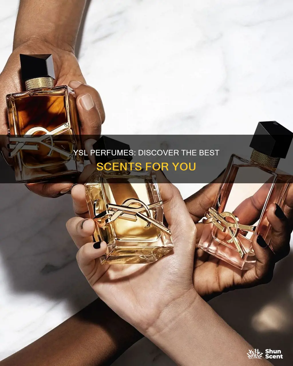 which is the best ysl perfume