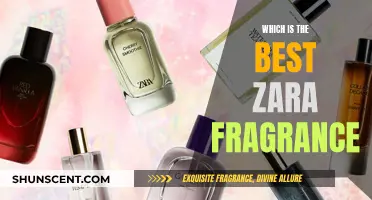 Zara's Fragrance Hall of Fame: The Best Scents