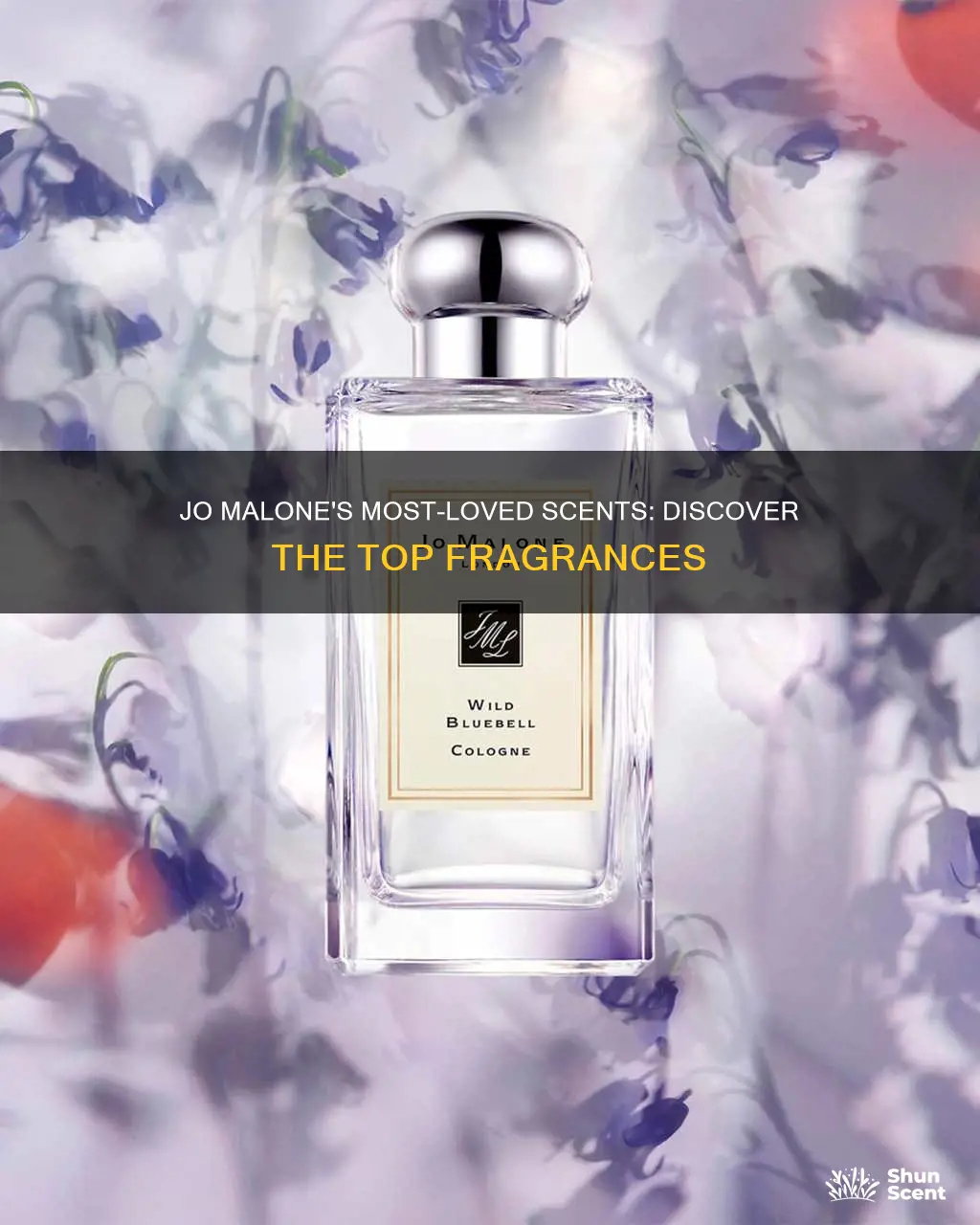 which is the most popular jo malone fragrance