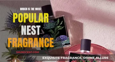 Nest Fragrances: Discover the Most Popular Scents for Your Home