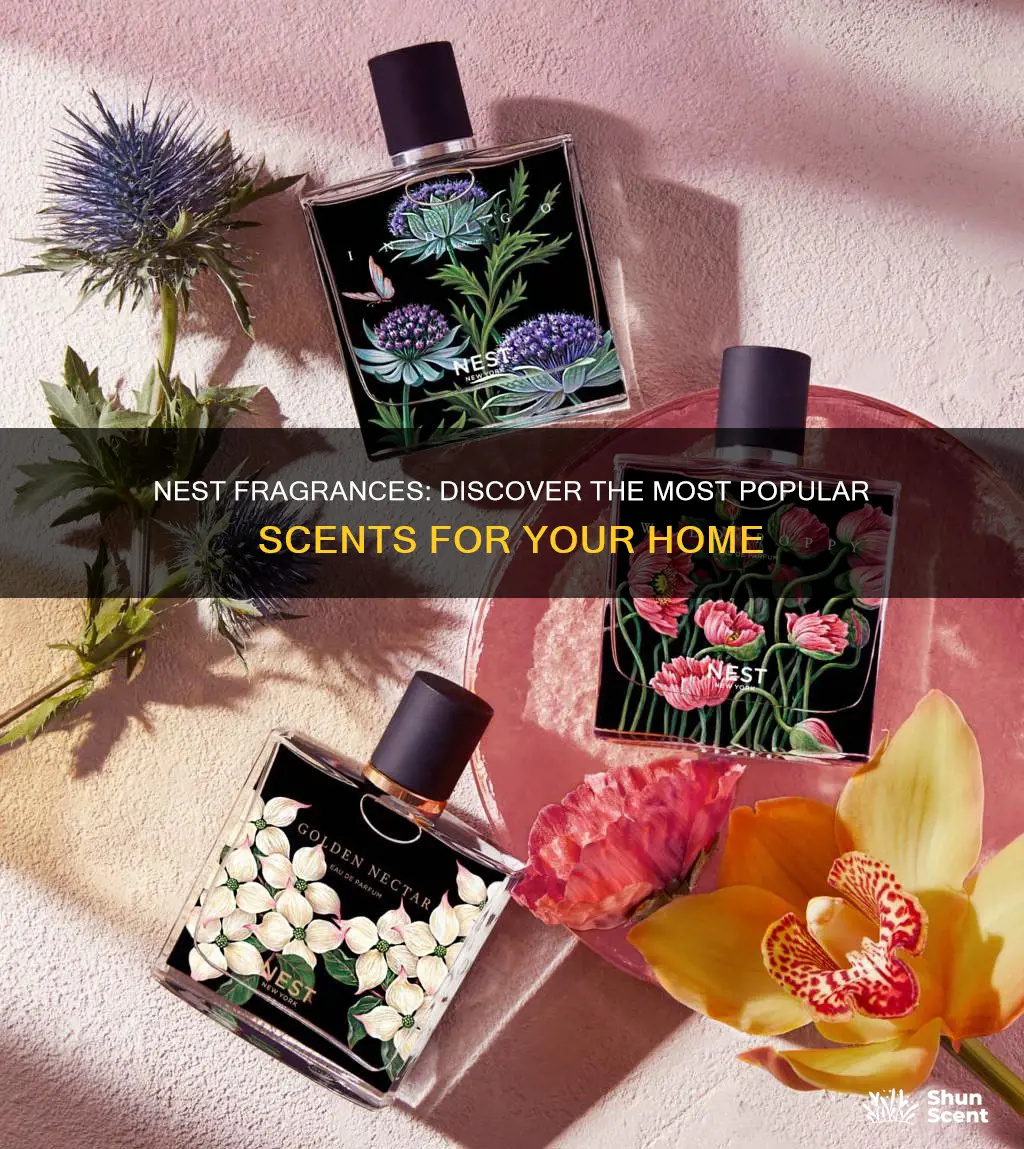 which is the most popular nest fragrance