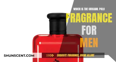 Polo Fragrance: Original Scent for Men