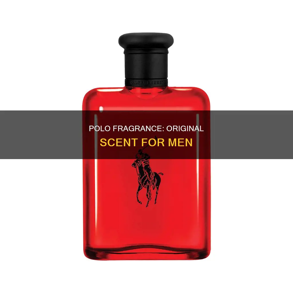 which is the origianl polo fragrance for men