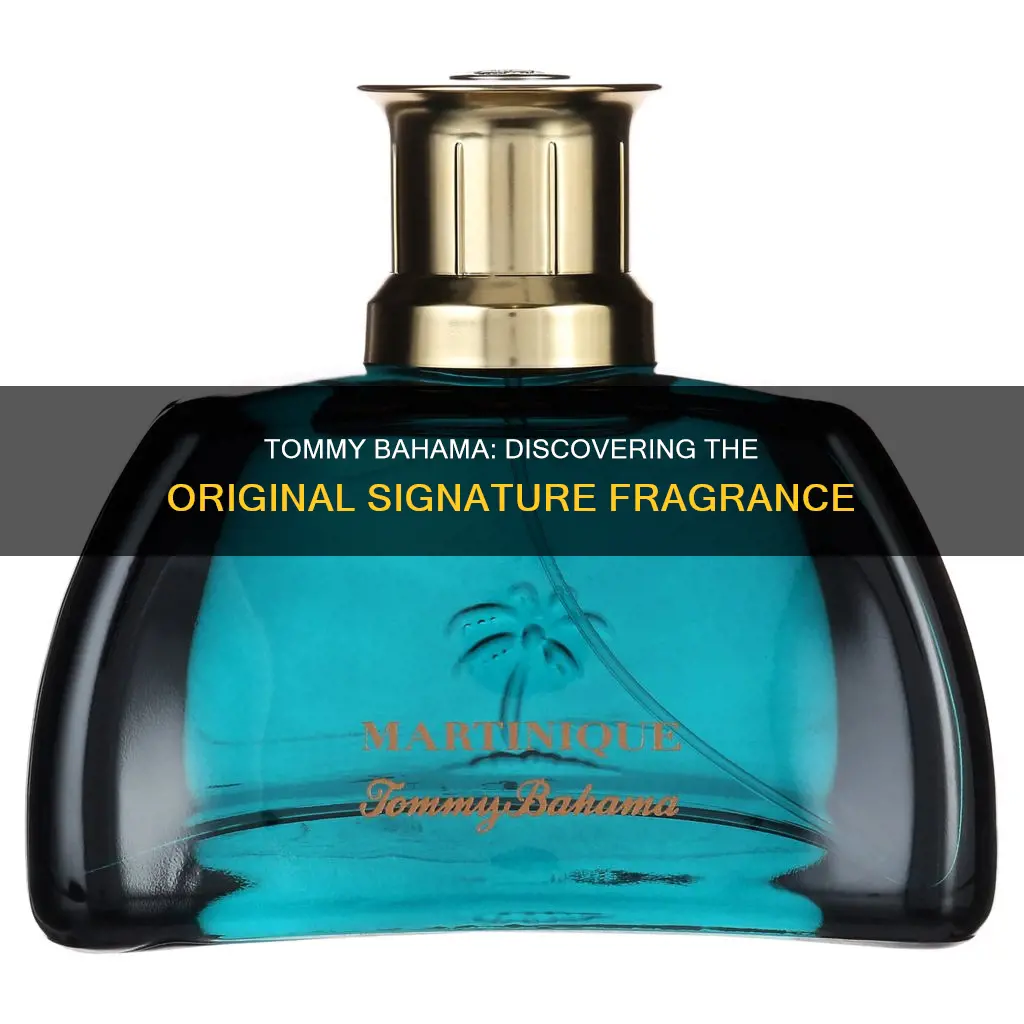 which is the original tommy bahama cologne