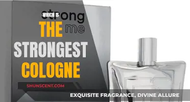 Strongest Colognes: Long-Lasting Scents with Powerful Impact