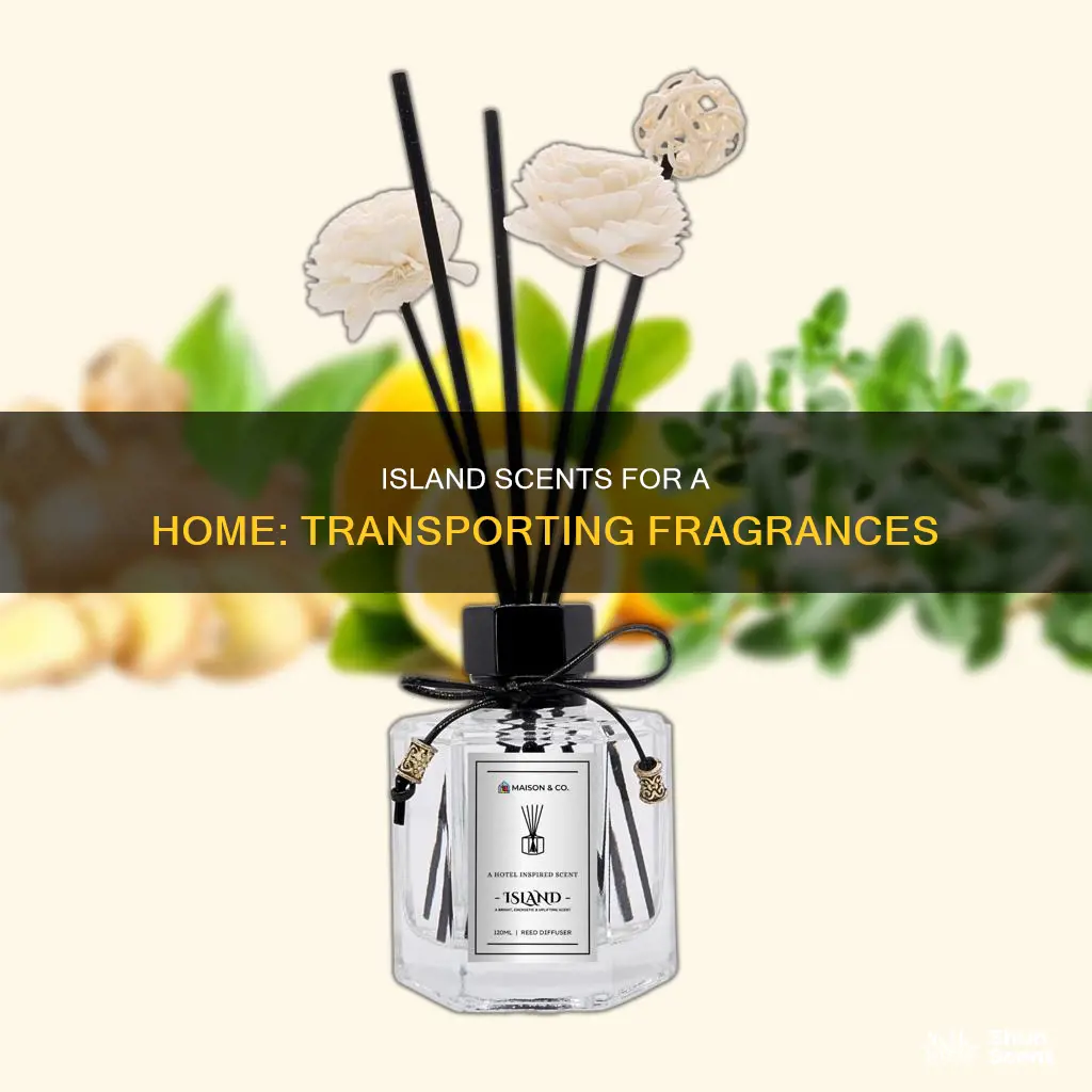 which island fragrances are best for the home