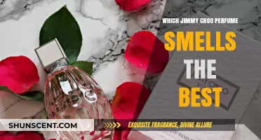 The Best Jimmy Choo Fragrances for Women